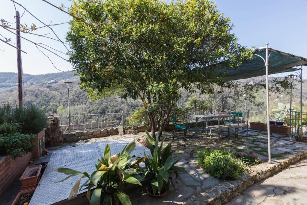 La Casa Di Sandra A Noli Villa Eksteriør billede